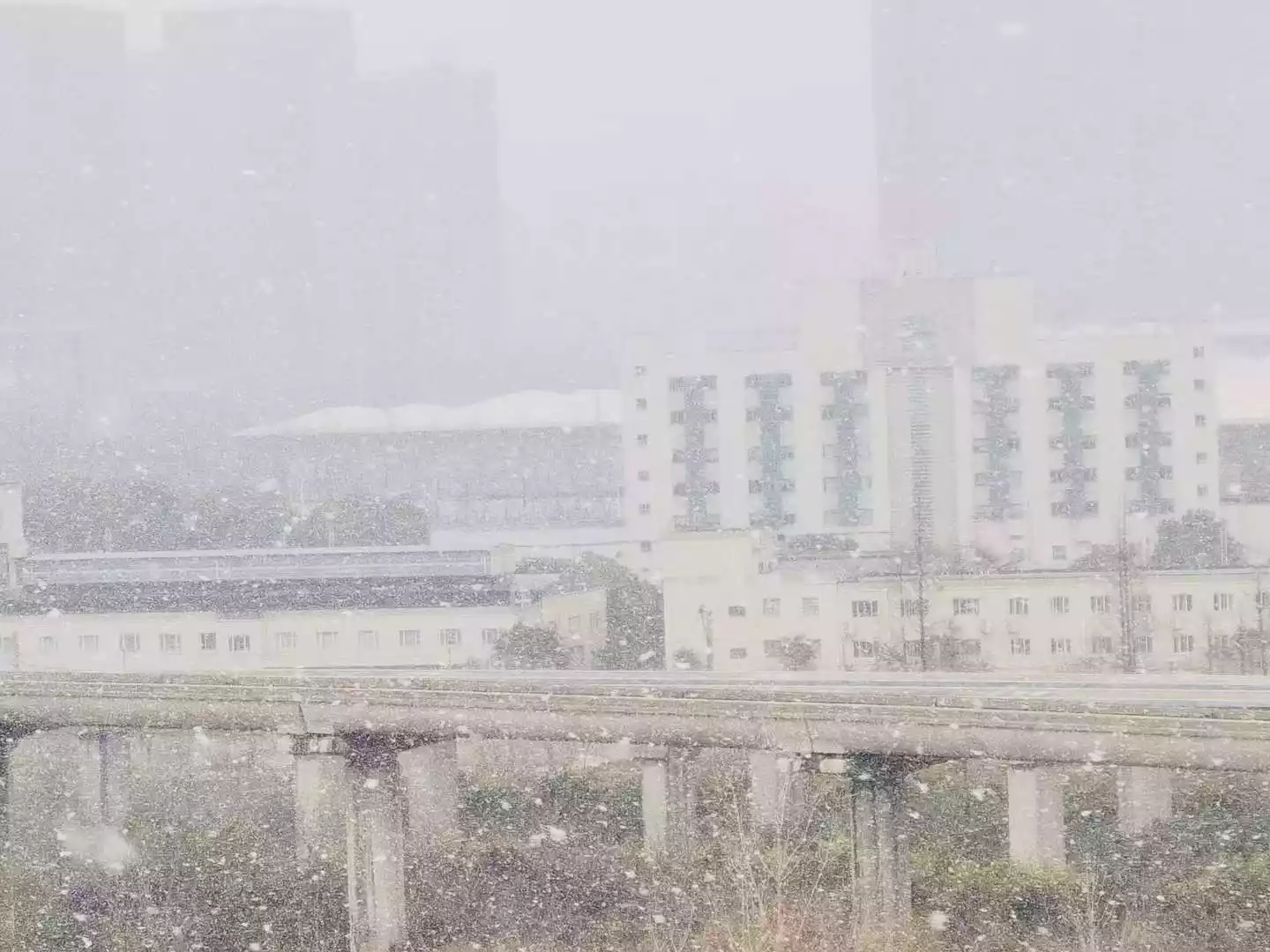 2023春节前，上海的大雪