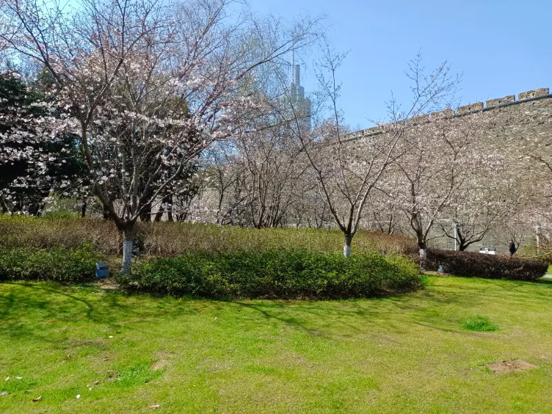 10:10 玄武湖景区