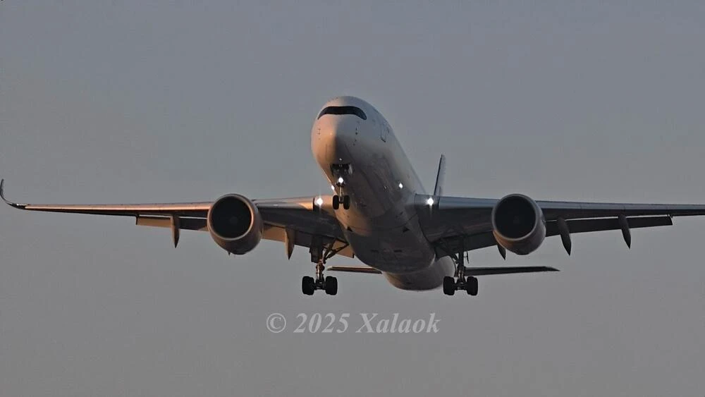 Featured image of post 上海虹桥拍机